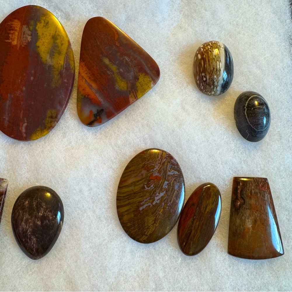 Petrified Wood Cabachons Part 2